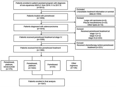 Survival Benefit and Genetic Profile of Pemetrexed as Initial Chemotherapy in Selected Chinese Patients With Advanced Lung Adenocarcinoma
